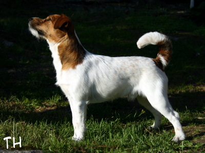 17. Roki 1 v.jpg - Roki 1 v.